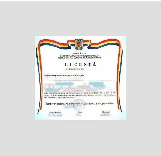 detectivi-valcea-ro-licenta